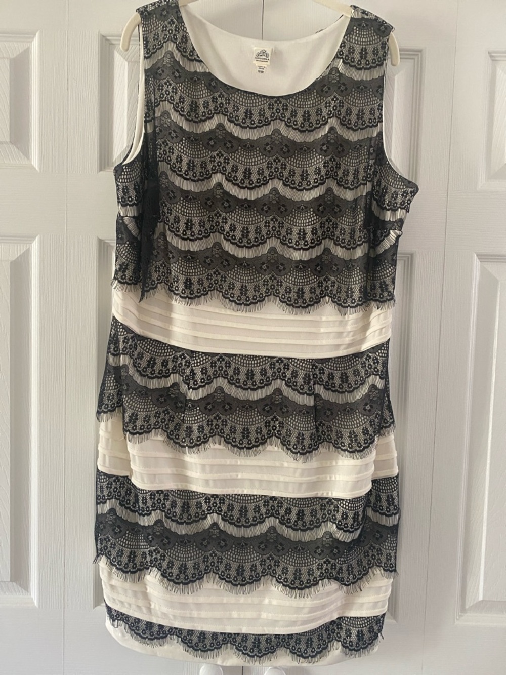 Beautiful Lace Overlay Dress